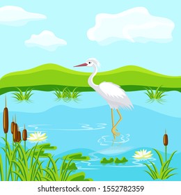Fabulous inhabitants of the swamp. Herons and frogs. Vector illustration in cartoon style.