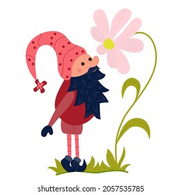 A fabulous little gnome sniffing a daisy. Summer cute cartoon character. Woodland magical elf. Vector illustrations isolated on white background. 