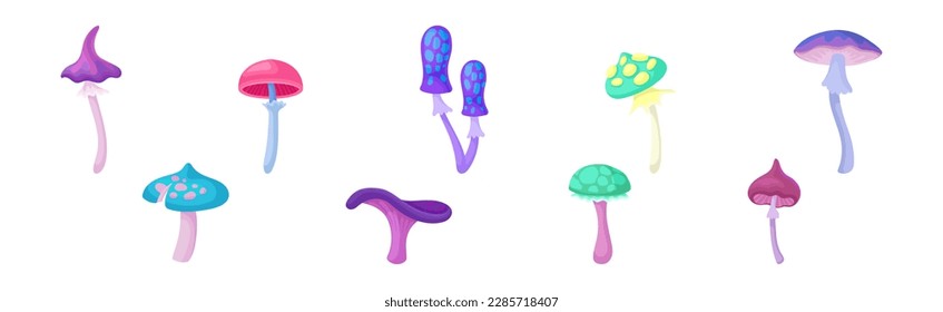 Fabulous Mushrooms with Cap and Stem Vector Set
