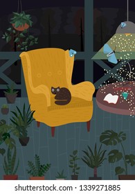 Fabulous night on the porch. The cat is sitting in the chair.