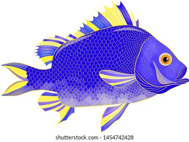 fabulous sea fish blue yellow