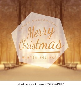 fabulous winter city park vector  background