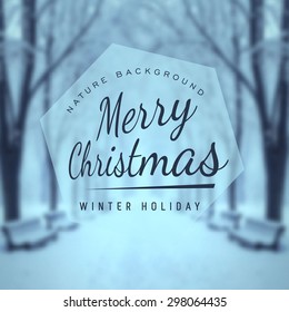 fabulous winter city park vector  background