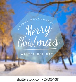 fabulous winter city park vector  background