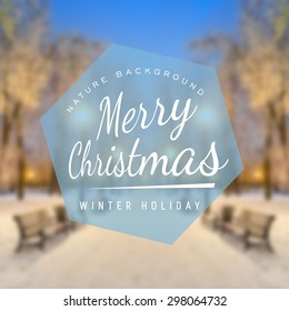 fabulous winter city park vector  background