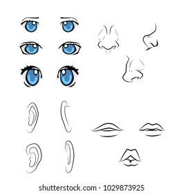 face anatomy for learn character face 