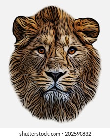 The face of an Asian lion, isolated on white background. The King of beasts, biggest cat, looking straight into the camera. The most dangerous predator. Unusual and amazing blackened vector image.