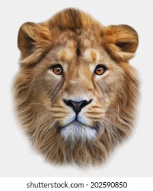 The face of an Asian lion, isolated on white background. The King of beasts, biggest cat, looking straight into the camera. The most dangerous predator. Amazing vector image in oil painting style.