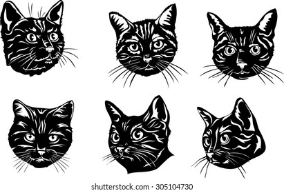 The face of a black cat, vector the image of a cat face, cat, portrait. Black silhouette of cat. Vector illustration. 