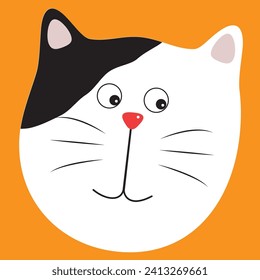 face of a black and white cat