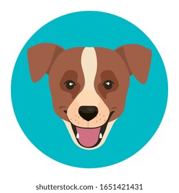 face of brown dog with white spot in frame circular vector illustration design