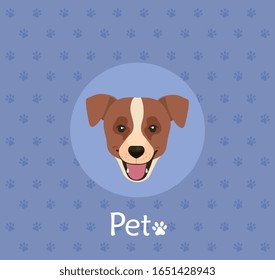 face of brown dog with white spot in background with pawprints vector illustration design