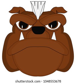 face of a bulldog with a Mohawk