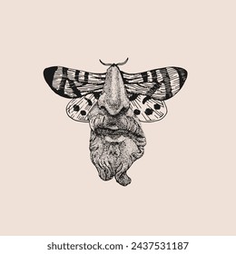 Face with butterfly wings. Spot work. Vector hand drawn illustration. Tattoo illustration, modern surreal art.