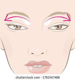 Cuidado facial. Aplicación de crema facial