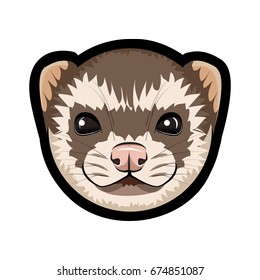 Face of cartoon ferret. Vector illustration on the white background.
