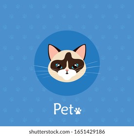 face of cat in background with pawprints vector illustration design