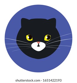 face of cat black in frame circular vector illustration design