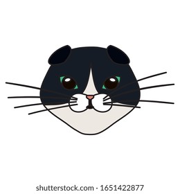 face of cat black and white isolated icon vector illustration design