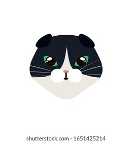 face of cat black and white isolated icon vector illustration design