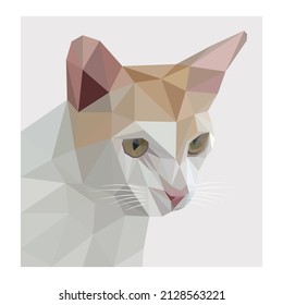 Face of cat in lowpoly art vector eps.