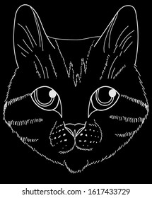 The face of the cat. The picture is drawn in white lines on a black background. A quick sketch of a cat. Cat's head.