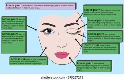 Face chart Makeup artist blank. Template using infographics. Vector illustration.