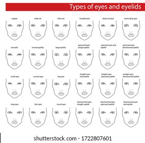 Face chart for makeup of european woman for different eyes