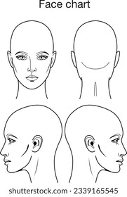 Gráfico facial para la formación permanente de maquillaje. Hoja de entrenamiento de procedimientos de cometología.