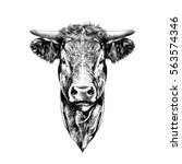 face cow sketch vector