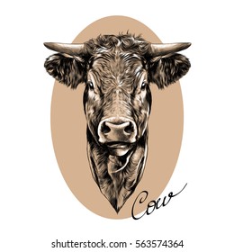 face cow sketch vector on brown background circle