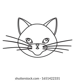 cara de adorable diseño de ilustración vectorial de estilo de línea de gato