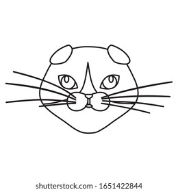 face of cute cat line style icon vector illustration design