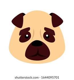 face of cute dog animal isolated icon vector illustration design