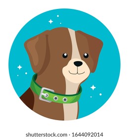 cara de perro lindo en el diseño de ilustración circular de cuadro vectorial