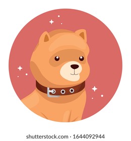 Gesicht des süßen Hundes im Rahmen einer kreisförmigen Vektorillustration