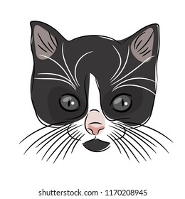 Face of a cute kitten. Hand-drawn cat on a white background. Vector illustration.
