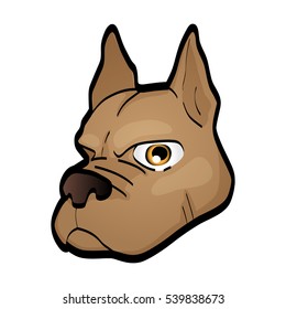 Face design pitbull dog vector