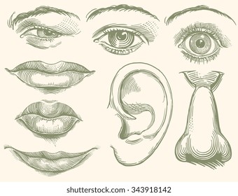 Face. Design set. Hand drawn engraving. Vector vintage illustration. 8 EPS 