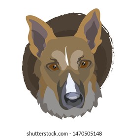 The face of the dog. Vector illustration