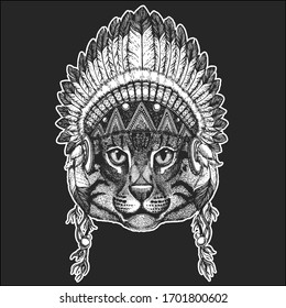 Face of domestic cat. Indian tribal traditional headdress with feathers. Portrait of animal. Cute kitty, kitten.