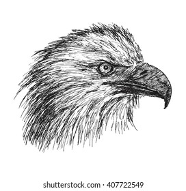 Similar Images, Stock Photos & Vectors of Bald eagle head sketch in a