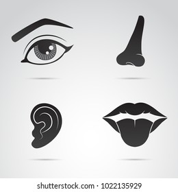 Face elements vector icon set. Nose, ear, lips, eye.