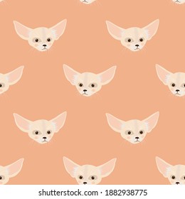 Face of fennec, an African Fox on a pink background