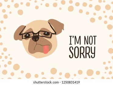 Face of funny dog wearing glasses and I'm Not Sorry ironic phrase handwritten with elegant cursive font. Adorable doggy or puppy. Colored vector illustration for t-shirt or apparel print, postcard.