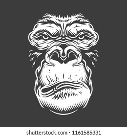 Face of gorilla isolated on white. Vector concept illustration