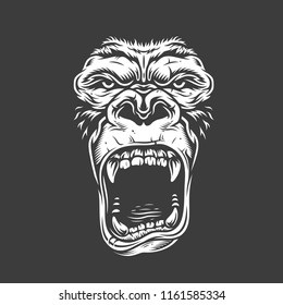 Face of gorilla isolated on white. Vector concept illustration