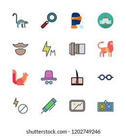 face icon set. vector set about lens, lion, highlighter and loupe icons set.