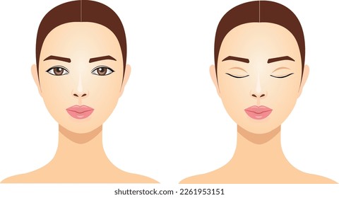 Face to indicate cosmetology steps, vector