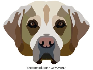 La cara de un labrador. Retrato vectorial de la cabeza de un perro aislado en fondo blanco.